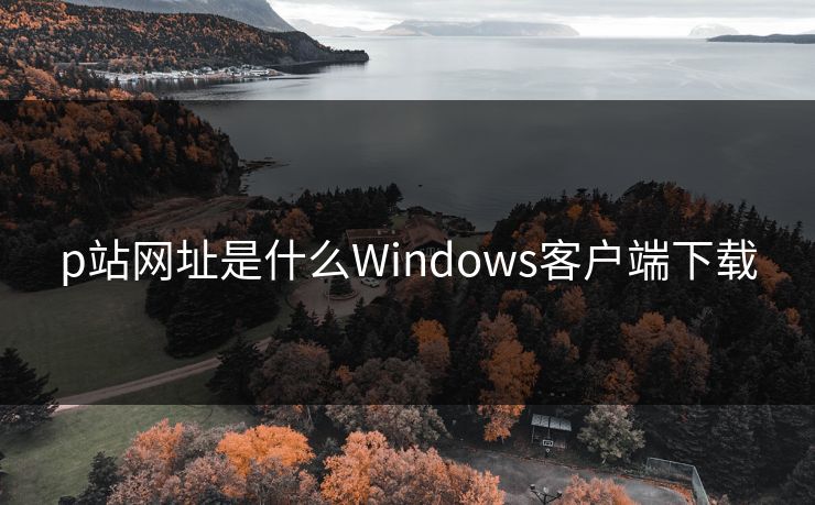 p站网址是什么Windows客户端下载