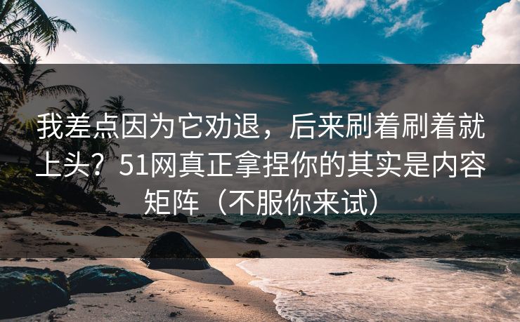 我差点因为它劝退，后来刷着刷着就上头？51网真正拿捏你的其实是内容矩阵（不服你来试）