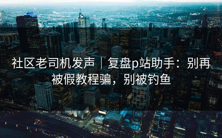 社区老司机发声｜复盘p站助手：别再被假教程骗，别被钓鱼