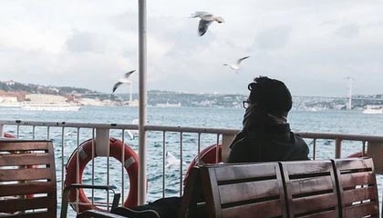 抖阴暗网网页版应用苹果版