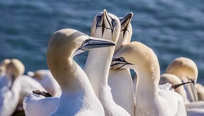 小黄文ai官网个人版