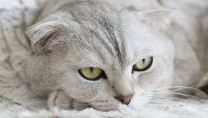 意外!热搜背后比想象更复杂,越想越后怕,热搜后面的字是什么意思