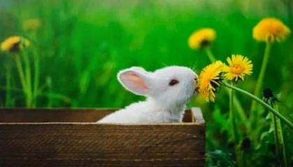 破防!争议点让人细思极恐,内情第一次被公开