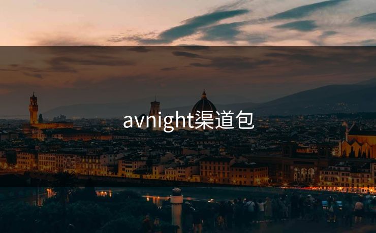 avnight渠道包