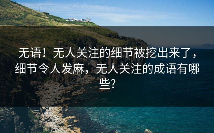 无语！无人关注的细节被挖出来了，细节令人发麻，无人关注的成语有哪些?